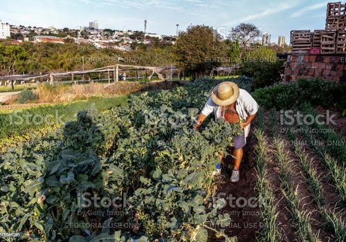 Eu, Tu, Ele, Nós, Vós e Eles - Somos - o Agronegócio