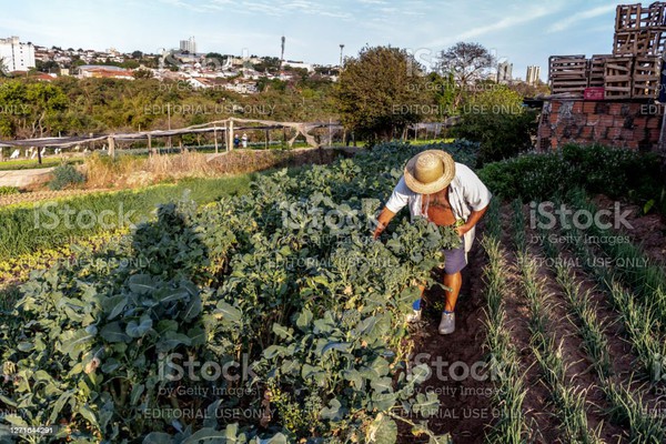 Eu, Tu, Ele, Nós, Vós e Eles - Somos - o Agronegócio